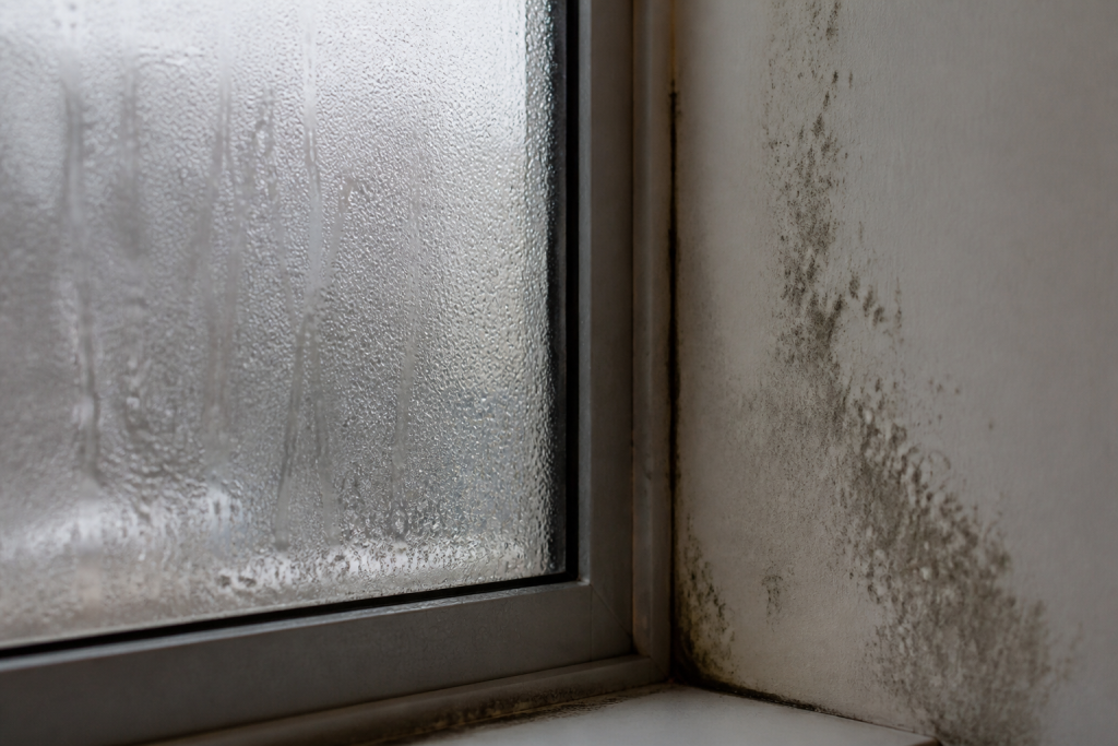 Vitre couverte de condensation avec moisissure sur mur
